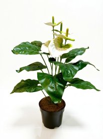 Искусственное растение Антуриум Макс ø13 h45 см белый