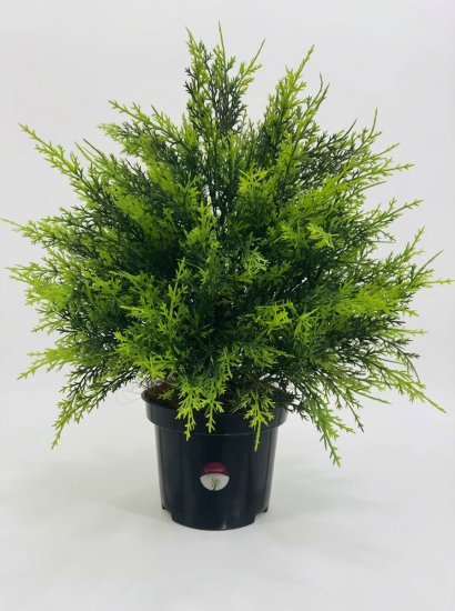 Искусственное растение куст Кипариса ø17 h50 см