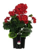 Искусственное растение Герань ø13 h37 см