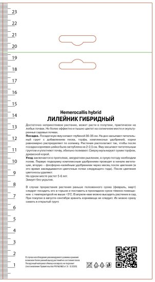 Лилейник гибридный Ред Хот Ритернз