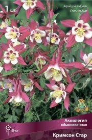 Аквилегия обыкновенная Кримсон Стар