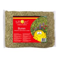 Семена газонной травы Цветочный Blumen 0,3кг