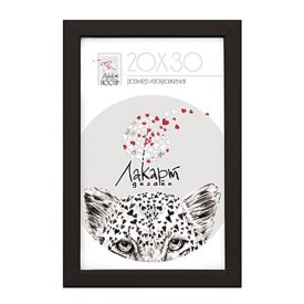 Фоторамка черная 200х300см пластик
