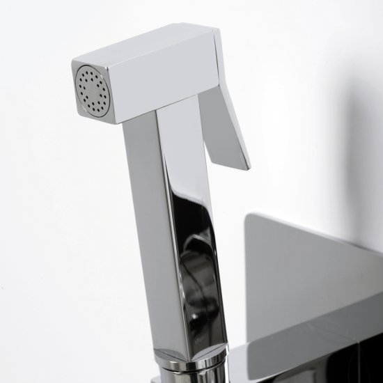 Смеситель с гигиеническим душем встраиваемый WasserKraft Aller со скрытой частью в комплекте хром (10638)