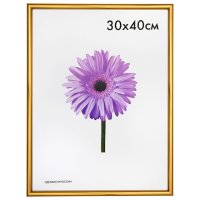 Фоторамка MARIA 300х400мм золото пластик