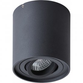 Потолочный светильник ARTE LAMP FALCON