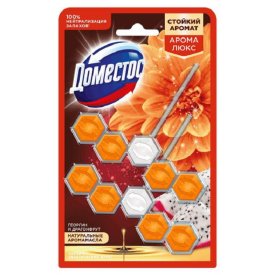 Подвеска для унитаза ДОМЕСТОС Пауэр 5 Экзотический букет Георгин и Драгонфрут 2х50г