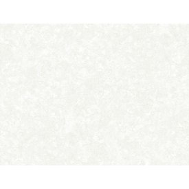 Обои бумажные гофрированные 10,05х0,53м, арт.С14 ф790-04