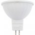 Светодиодная лампа General Lighting Systems 636300
