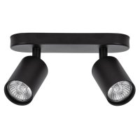 Спот ARTE LAMP Аквариус GU10 2х35Вт металл черный