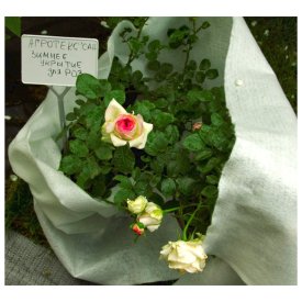 Укрытие зимнее для роз 2х2м 200г/м2 с УФ