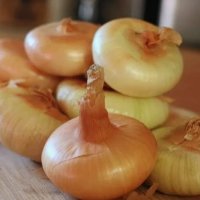 Лук-севок Дедуля 21/24 0,5кг