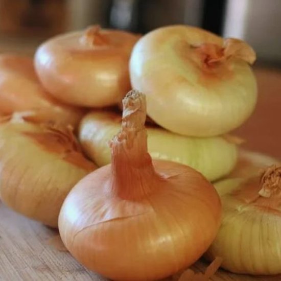 Лук-севок Дедуля 21/24 0,5кг