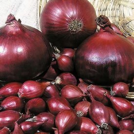 Лук-севок Ред Барон 9/21 0,5кг