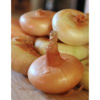 Лук-севок Дедуля 10/22 0,5кг