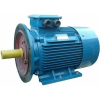 Электродвигатель 5АИ 200 L2 45/3000 IM 2001