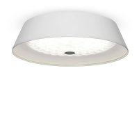 Светильник потолочный FREYA FR10013CL-L24W LED x 24Вт белый
