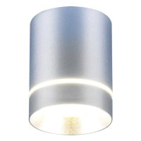 Светильник накладной ЭЛЕКТРОСТАНДАРТ LED 9Вт матовый хром