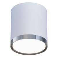 Светильник накладной ЭЛЕКТРОСТАНДАРТ LED 6Вт белый матовый