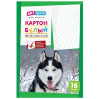 Картон белый ARTSPACE 16л А4 220 г/кв.м немелованный в папке