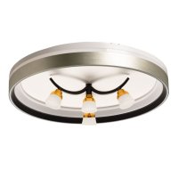 Люстра потолочная DECITY Норден 96Вт+4Вт LED 6000Лм 3000/4000/6500К металл акрил серый