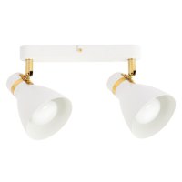 Спот ARTE LAMP Fafnir E27 2х40Вт металл белый
