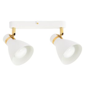 Спот ARTE LAMP Fafnir E27 2х40Вт металл белый