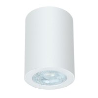 Светильник накладной ARTE LAMP Tino GU10 35Вт IP44 алюминий белый