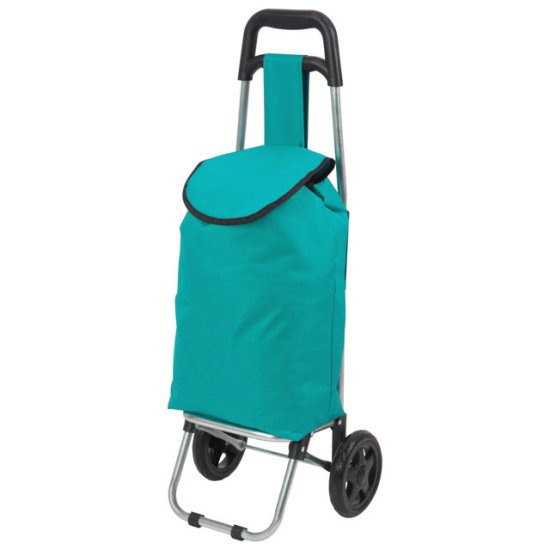 Тележка с сумкой РЫЖИЙ КОТ WR3030 Бирюза до 15кг