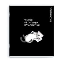 Тетрадь Русский язык 48 л А5+ 60 г/кв.м линейка мягкий переплёт скоба