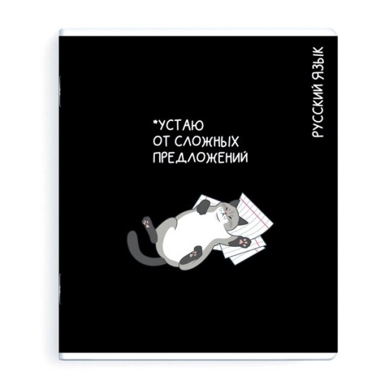 Тетрадь Русский язык 48 л А5+ 60 г/кв.м линейка мягкий переплёт скоба