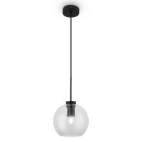 Светильник подвесной FREYA FR8002PL-01B 1хE27х60Вт черный