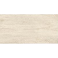 Керамогранит Estima Dream Wood серый DW01 1200х600х9 мм (2 шт.=1,44 кв.м)