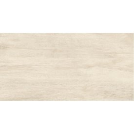 Керамогранит Estima Dream Wood серый DW01 1200х600х9 мм (2 шт.=1,44 кв.м)