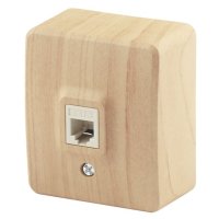Розетка Эра Эксперт компьютерная поликарбонатная IP20 сосна