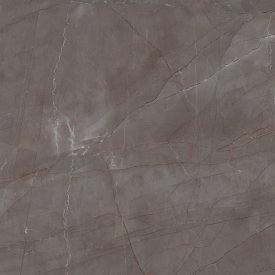 Керамогранит AXIMA BALTIMORE 600х600x8 коричневый карвинг ректификат