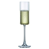 Набор бокалов CRYSTAL BOHEMIA Junco 2шт 160мл шампанское стекло