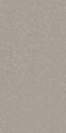Плитка облицовочная Lavelly Элемент Бетон серая 600x300x9 мм (10 шт.=1,8 кв.м)