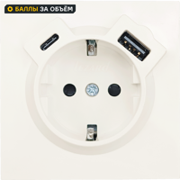 Розетка USB встраиваемая Lezard Zima с заземлением цвет слоновая кость