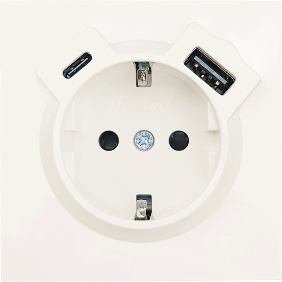 Розетка USB встраиваемая Lezard Zima с заземлением цвет слоновая кость