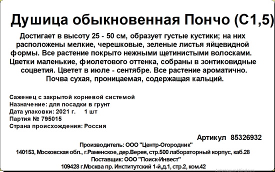 Душица обыкновенная Пончо ø15 h20 см