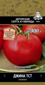 Семена Томат «Джина ТСТ»