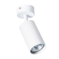 Спот потолочный Arte Lamp Aquarius GU10 35 Вт 1 кв.м белый IP20 (A3216PL-1WH)