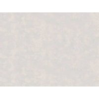 Обои ERISMANN виниловые на флизелиновой основе 10,05х1,06м, арт.61073-04