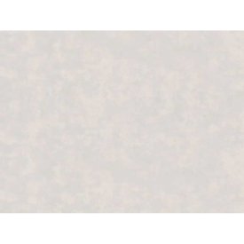 Обои ERISMANN виниловые на флизелиновой основе 10,05х1,06м, арт.61073-04