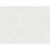 Обои ERISMANN виниловые на флизелиновой основе 10,05х1,06м, арт.61073-02