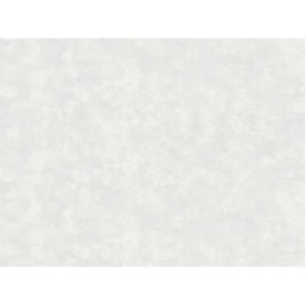 Обои ERISMANN виниловые на флизелиновой основе 10,05х1,06м, арт.61073-02