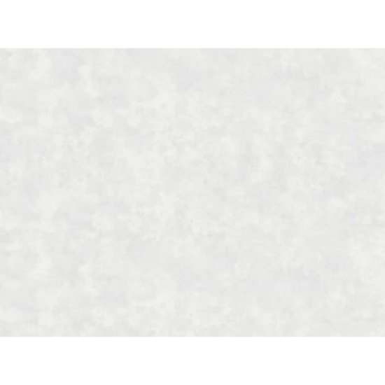 Обои ERISMANN виниловые на флизелиновой основе 10,05х1,06м, арт.61073-02