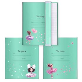 Обложки для тетрадей с рисунком ФЕНИКС+ 3шт
