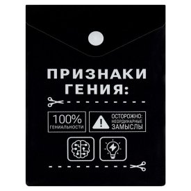 Папка для документов А6 пластиковая ФЕНИКС+ на кнопке